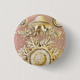 Jellyfish, Discomedusae by Ernst Haeckel 1 Inch Round Button