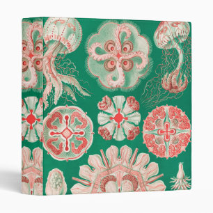 Jellyfish, Discomedusae by Ernst Haeckel Binder