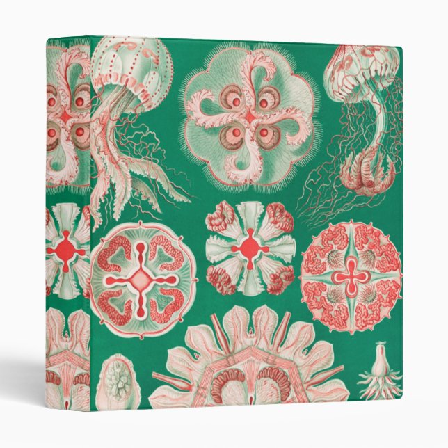 Jellyfish, Discomedusae by Ernst Haeckel Binder (Front/Spine)