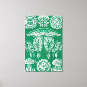 Jellyfish, Discomedusae by Ernst Haeckel Canvas Print