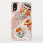 Jellyfish, Discomedusae  by Ernst Haeckel iPhone XR Case<br><div class="desc">Jellyfish,  Discomedusae Scheibenquallen by Ernst Haeckel Phone Case</div>