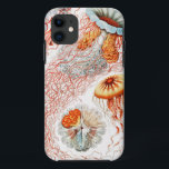 Jellyfish, Discomedusae  by Ernst Haeckel iPhone 11 Case<br><div class="desc">Jellyfish,  Discomedusae Scheibenquallen by Ernst Haeckel Phone Case</div>