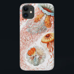 Jellyfish, Discomedusae  by Ernst Haeckel iPhone 11 Case<br><div class="desc">Jellyfish,  Discomedusae Scheibenquallen by Ernst Haeckel Phone Case</div>