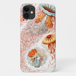 Jellyfish, Discomedusae  by Ernst Haeckel iPhone 11 Case