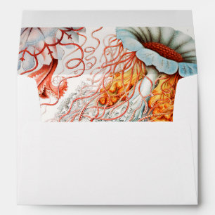 Jellyfish, Discomedusae by Ernst Haeckel Envelope