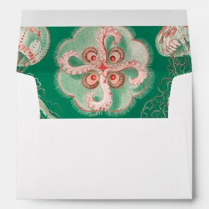 Jellyfish, Discomedusae by Ernst Haeckel Envelope