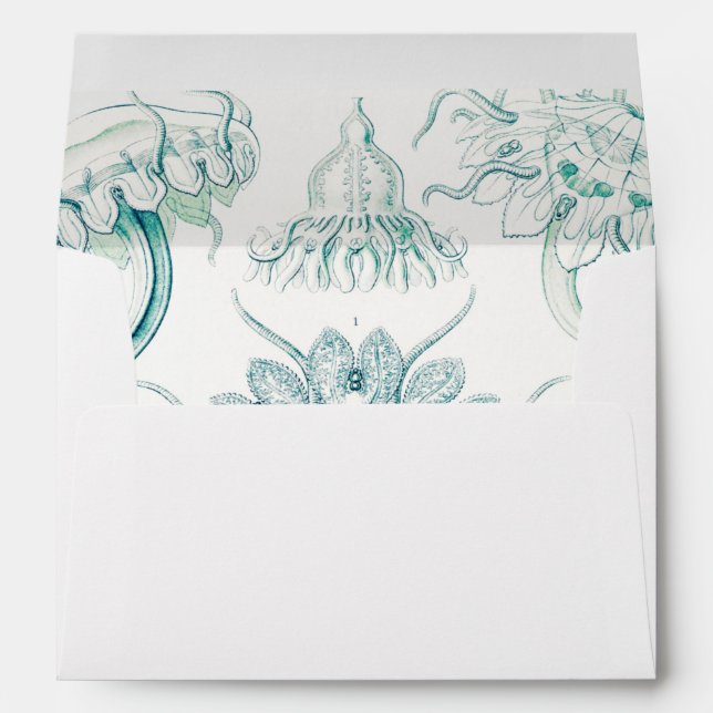 Jellyfish, Discomedusae  by Ernst Haeckel Envelope (Back (Bottom))