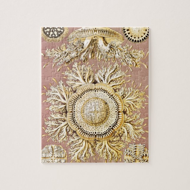 Jellyfish, Discomedusae by Ernst Haeckel Jigsaw Puzzle (Vertical)