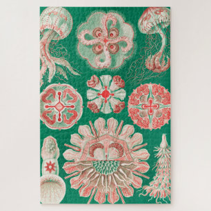 Jellyfish, Discomedusae by Ernst Haeckel Jigsaw Puzzle