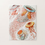 Jellyfish, Discomedusae by Ernst Haeckel Jigsaw Puzzle<br><div class="desc">Jellyfish,  Discomedusae Scheibenquallen by Ernst Haeckel Jigsaw Puzzle.</div>