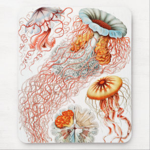 Jellyfish, Discomedusae by Ernst Haeckel Mouse Pad