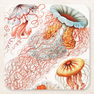 Jellyfish, Discomedusae by Ernst Haeckel Square Paper Coaster