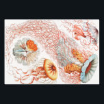 Jellyfish, Discomedusae by Ernst Haeckel Wrapping Paper Sheet<br><div class="desc">Jellyfish,  Discomedusae Scheibenquallen by Ernst Haeckel Wrapping Paper Sheet</div>