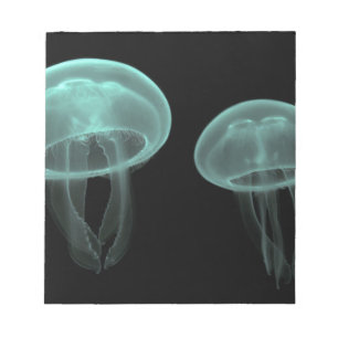 jellyfish fish custom personalize Anniversaries Notepad