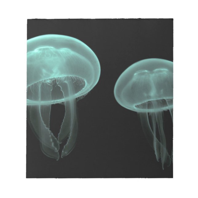 jellyfish fish custom personalize Anniversaries Notepad (Front)