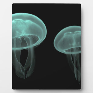 jellyfish fish custom personalize Anniversaries Plaque