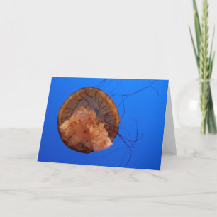 Jellyfish Greeting Card