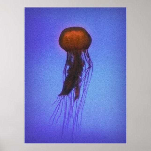 Jellyfish in Space Poster (Front)