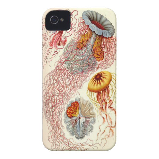 Jellyfish Iphone 4/4s Case (Back)