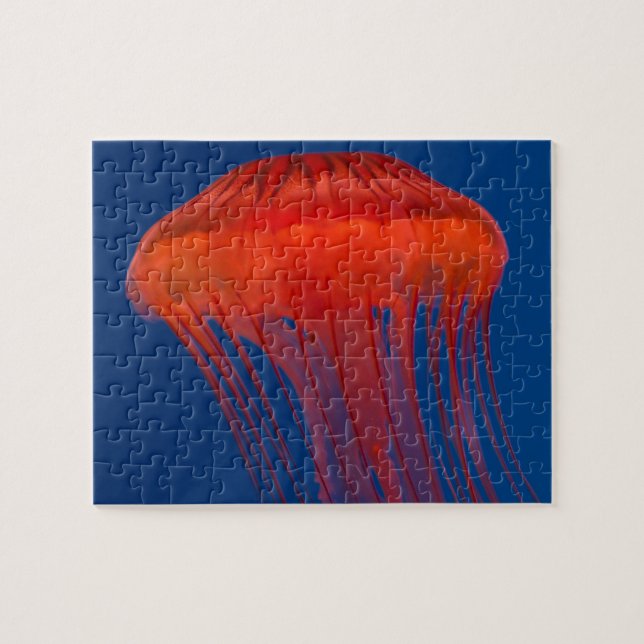 Jellyfish Jigsaw Puzzle (Horizontal)