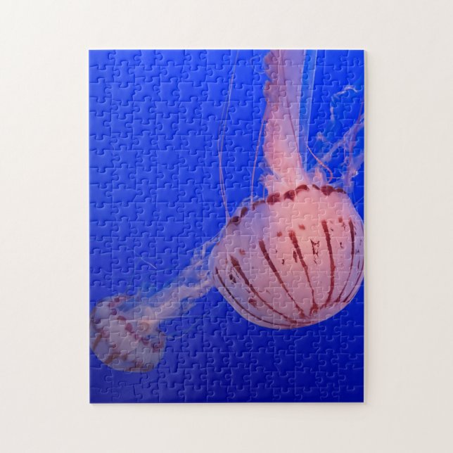 Jellyfish  jigsaw puzzle (Vertical)