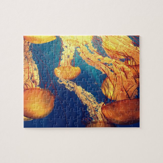 Jellyfish Jigsaw Puzzle (Horizontal)