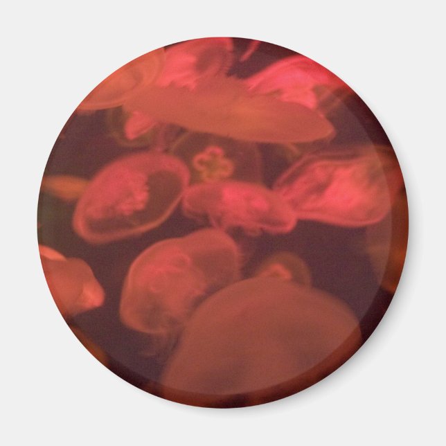 Jellyfish Magnet (Front)