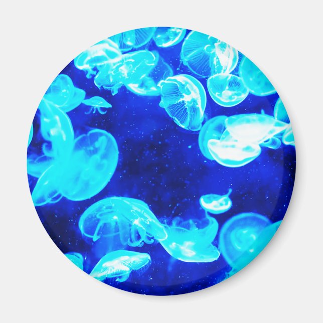Jellyfish Magnet (Front)