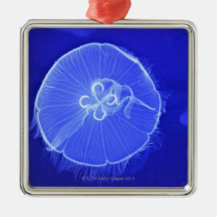 Jellyfish Metal Ornament