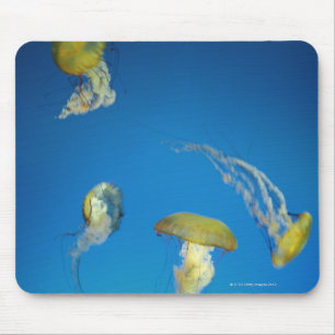 Jellyfish Mouse Pad