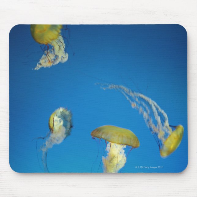 Jellyfish Mouse Pad (Front)
