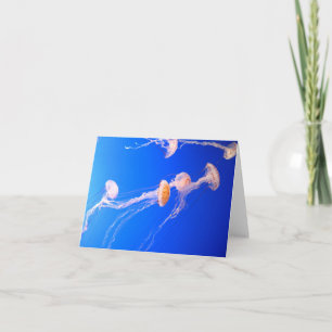 Jellyfish Note Card