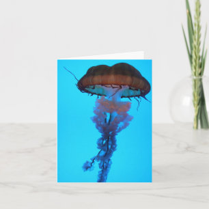 Jellyfish Notecard