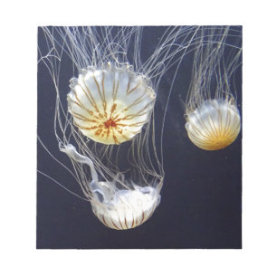 Jellyfish Notepad