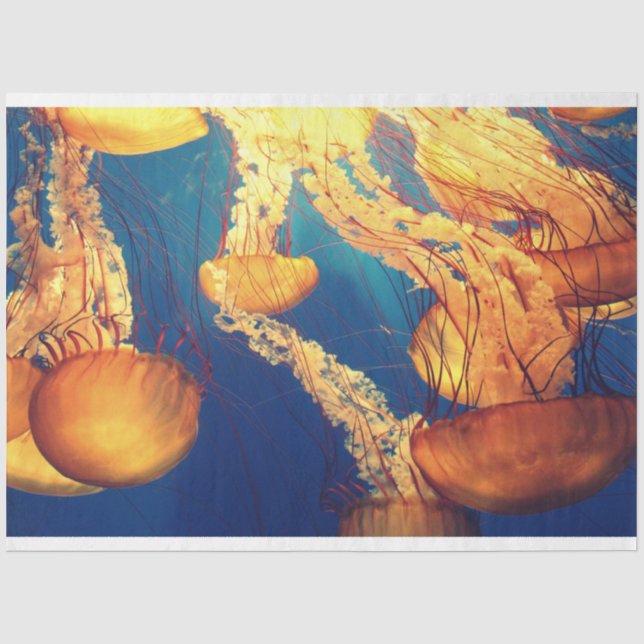 Jellyfish Ocean 20x30  Decoupage Tissue Paper (Front)