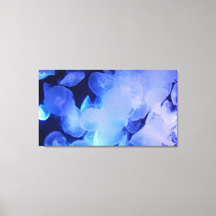 JELLYFISH ON CANVAS 20 "x 16"