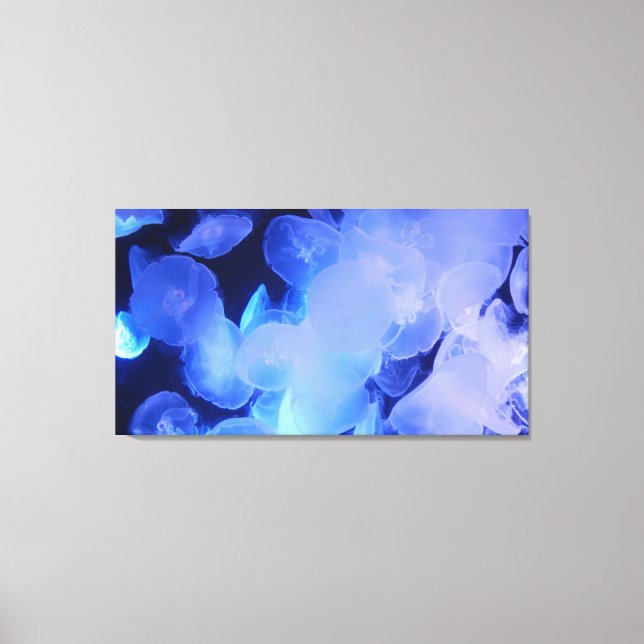 JELLYFISH ON CANVAS     20 "x 16" (Front)