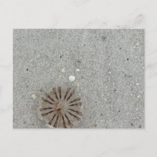 Jellyfish postcard