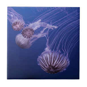 Jellyfish purple and blue tile