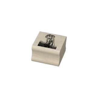 Jellyfish Rubber Stamp