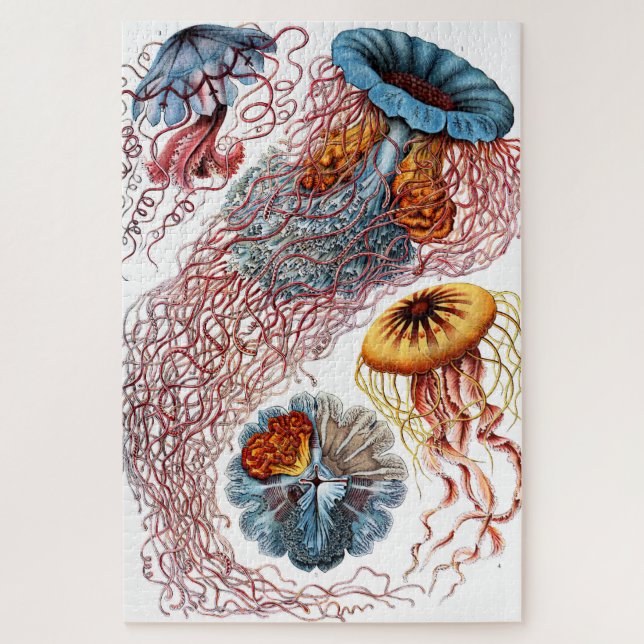 Jellyfish (Scheibenquallen) by Ernst Haeckel Jigsaw Puzzle (Vertical)