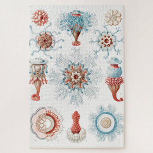 Jellyfish, Siphonophorae Staatsquallen Marine Life Jigsaw Puzzle