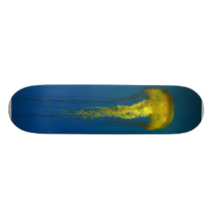 Jellyfish Skateboard