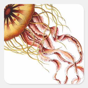 jellyfish square sticker