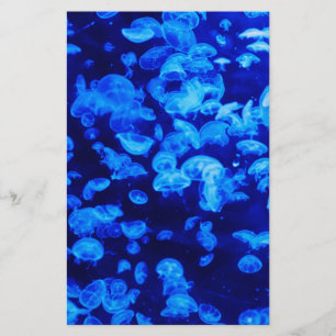 Jellyfish Stationery