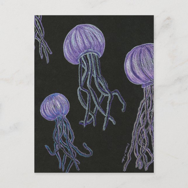 Jellyfish Stream Postcard (Front)
