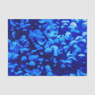 Jellyfish Tissue Paper