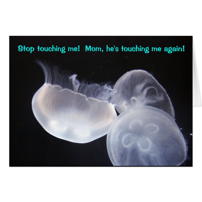 Jellyfish Touch (Front Horizontal)