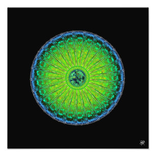 Jellyfish umbrella photo print