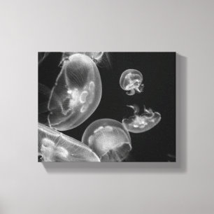 Jellyfish Underwater Canvas Print